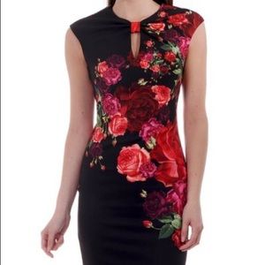 Ted Baker Midi Dress